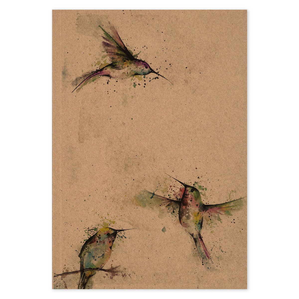 Notizbuch - 3 Kolibris