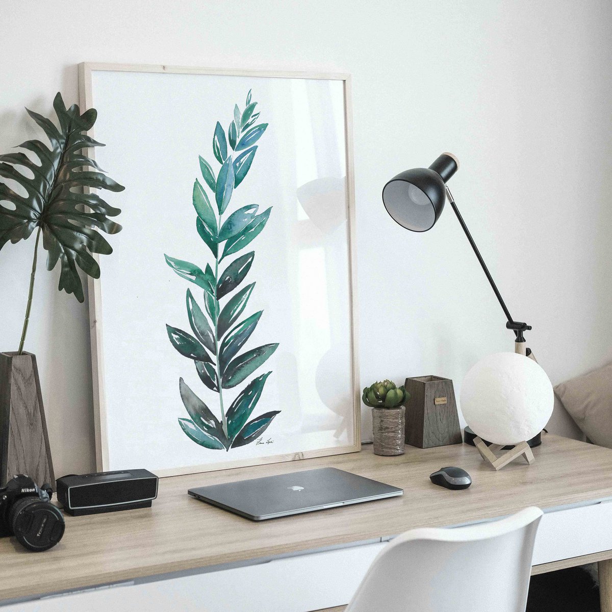 Kunstdruck - Zamioculcas