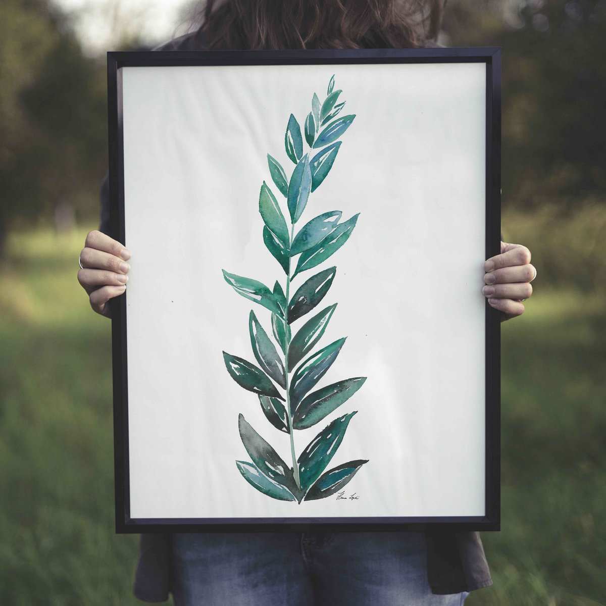 Kunstdruck - Zamioculcas