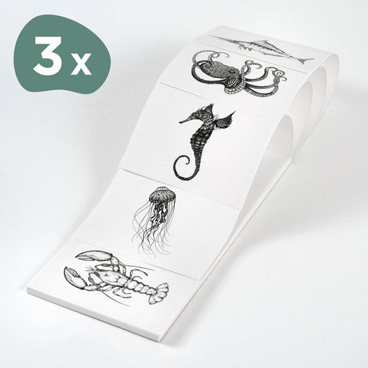 Notizblock – Meerestiere Quintett – 3er-Set
