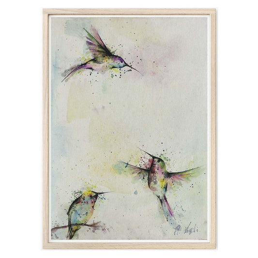 Kunstdruck - Drei Kolibris