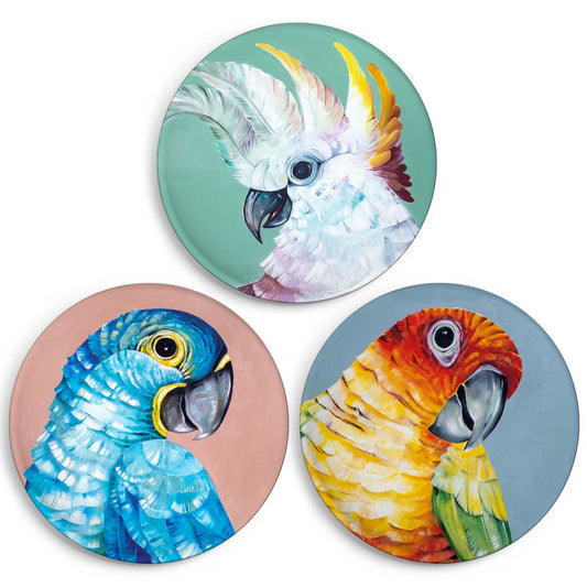 Magnet 3er-Set – Papageien Trio