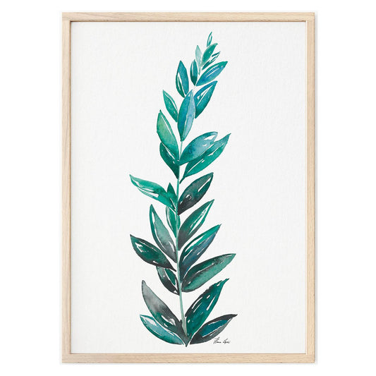 Kunstdruck - Zamioculcas